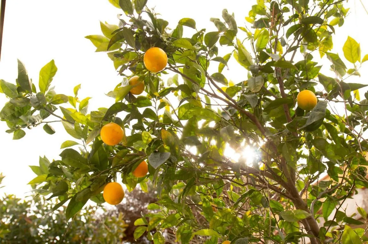 فندق كاتانيافي  La Casetta Colorata بيت ضيافة