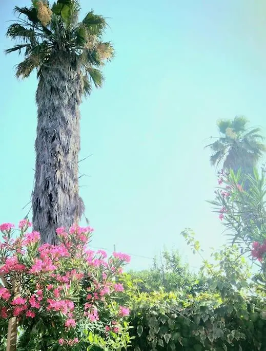 فندق كاتانيافي  La Casetta Colorata 0*, كاتانيا